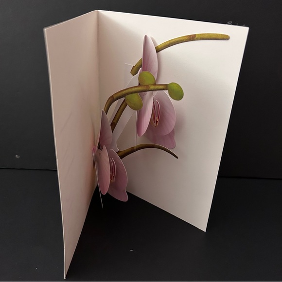 Pop-up card w/envelope - ORCHID - Picture 3 of 5